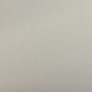 Meet your Posher, Cong